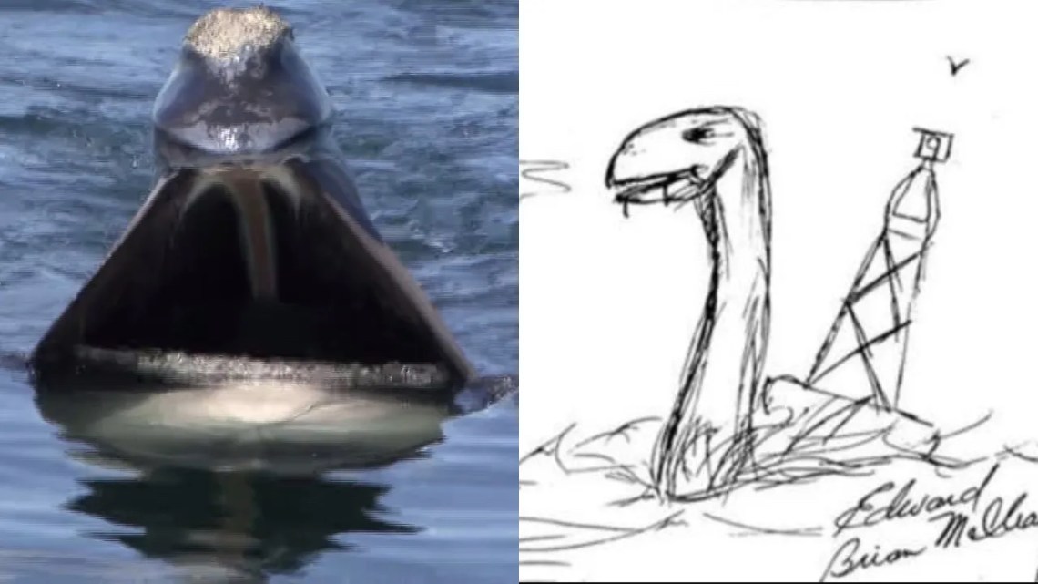 Florida Teen Claims A ‘Sea Monster’ Killed Four Of His Friends