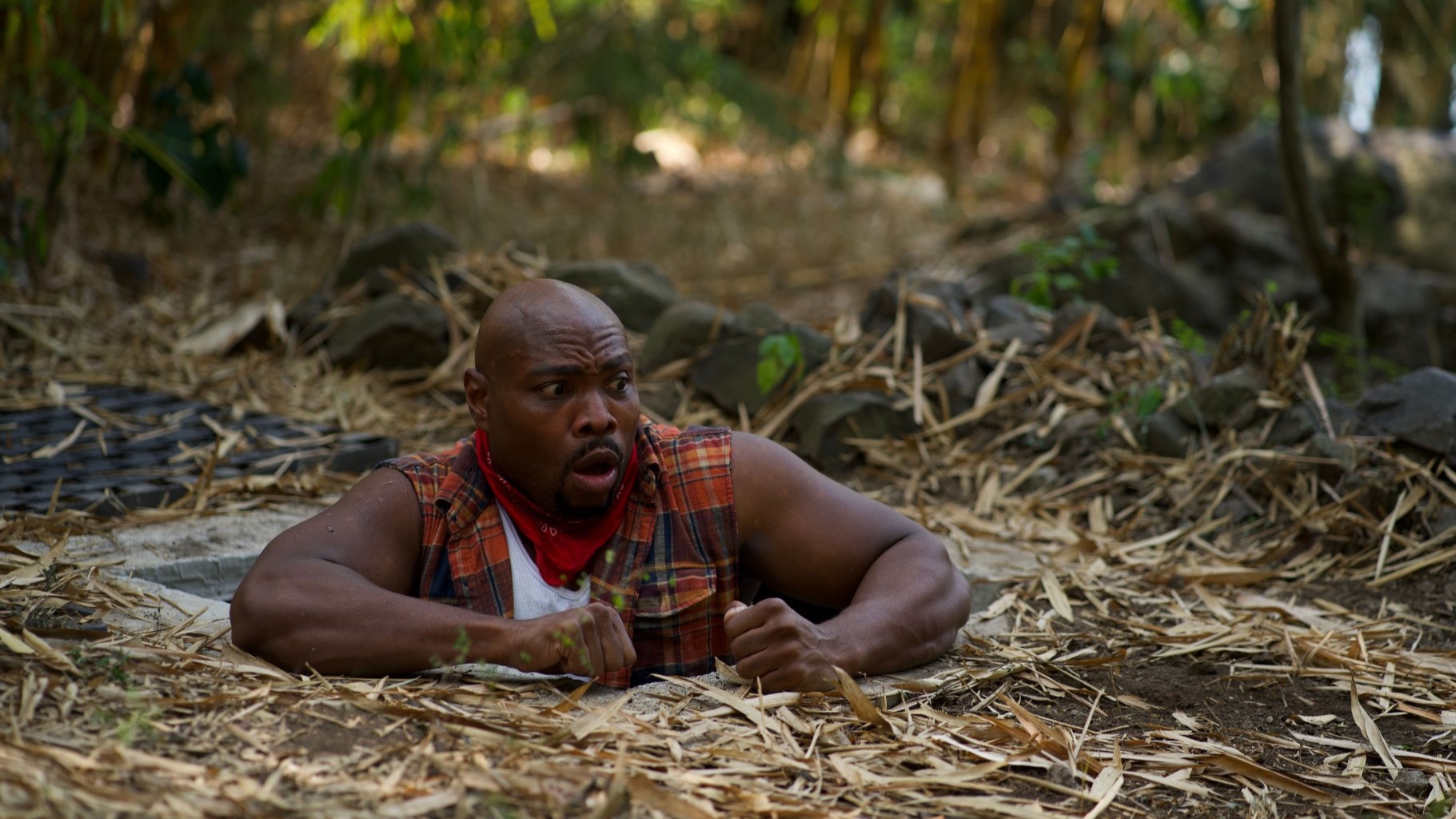 Review: ‘A Breed Apart’ Is ‘Sharknado’ With Dogs And Even More Absurdity