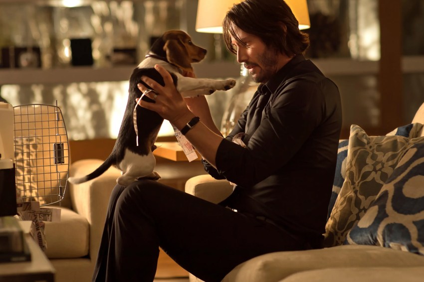 We Ranked The Entire ‘John Wick’ Franchise—See Which Assassin Was The Last Man Standing