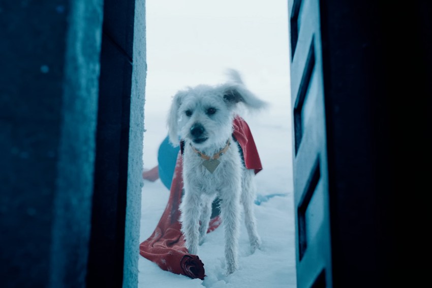 Superman’s Dog Krypto Is Finally Getting His Own Merch