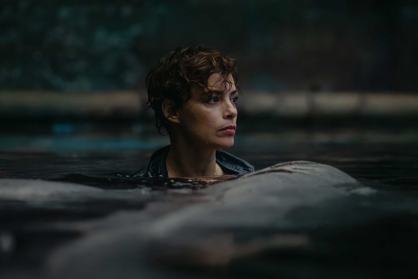 Netflix’s New Shark Movie Is On Par With ‘Jaws’