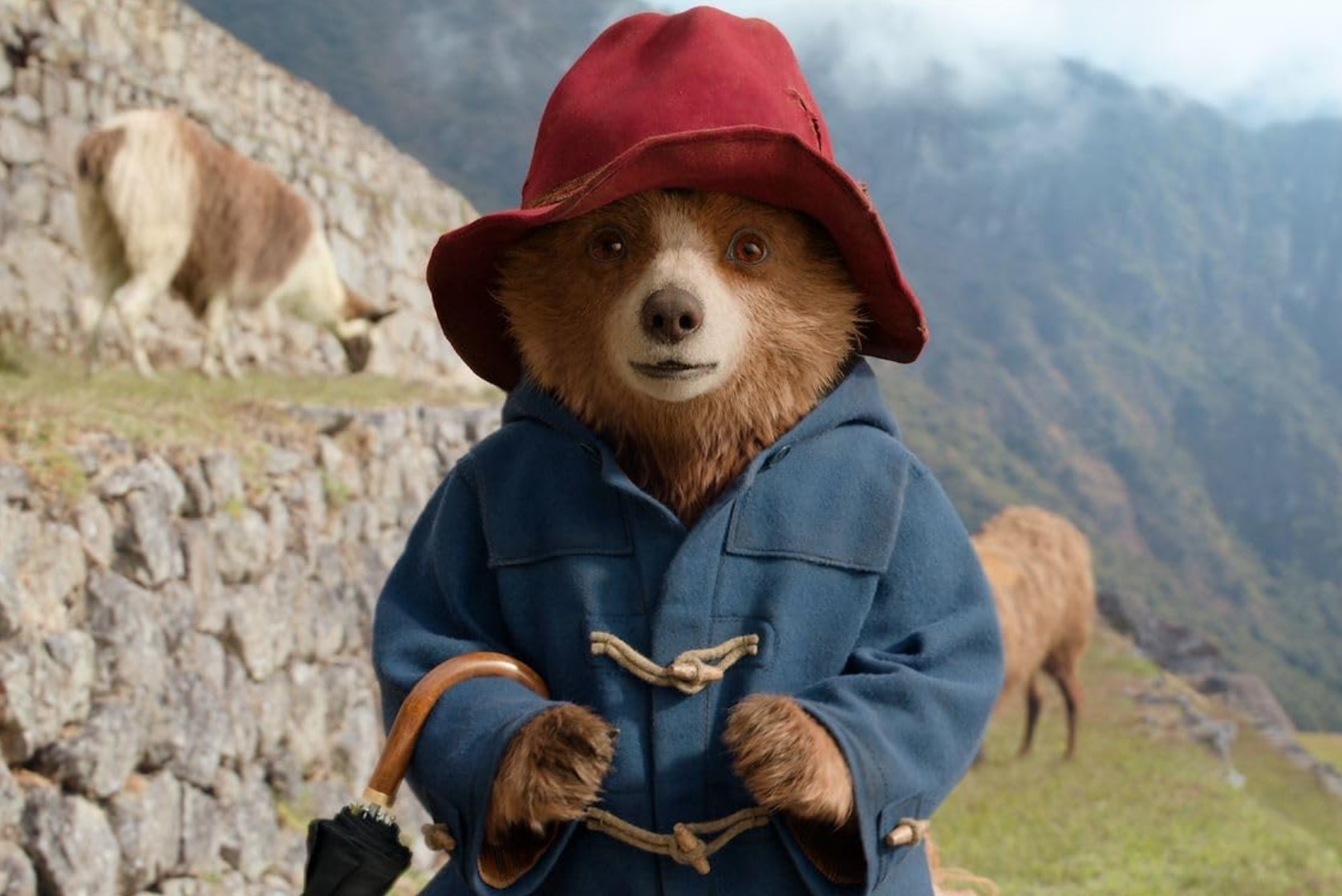 6 Movies That’ll Make You Book A Ticket To South America ASAP 