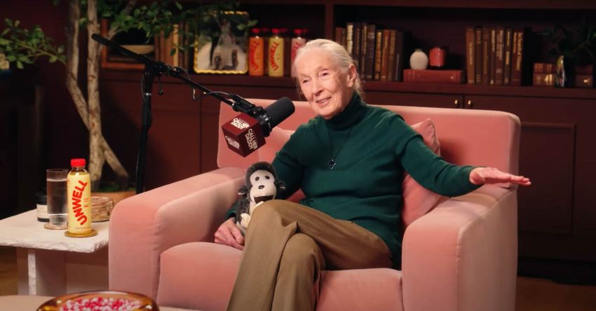 Jane Goodall, Feminist Icon And Scientific Trailblazer, Dies At 91 After A Life Of Defiance, Discovery, And Hope