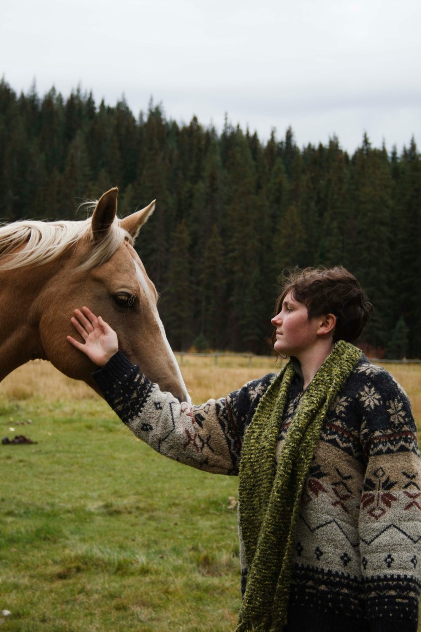 What Your Spirit Animal Is (Based On Your Birth Month)