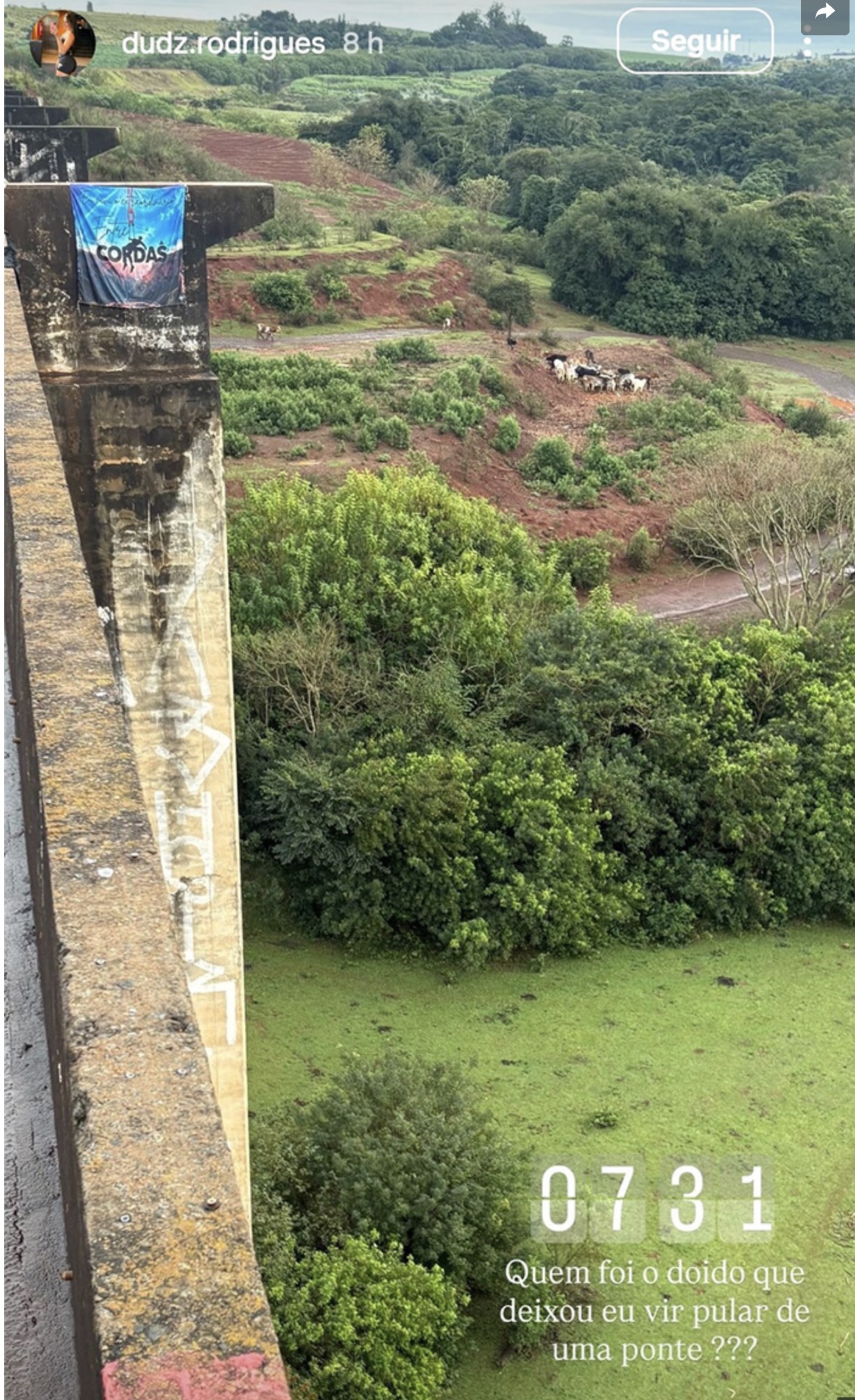 View from a graffiti-marked bridge railing looking down into a green canyon with trees and farmland below; a blue banner reading 'Cordas' is attached to the railing.