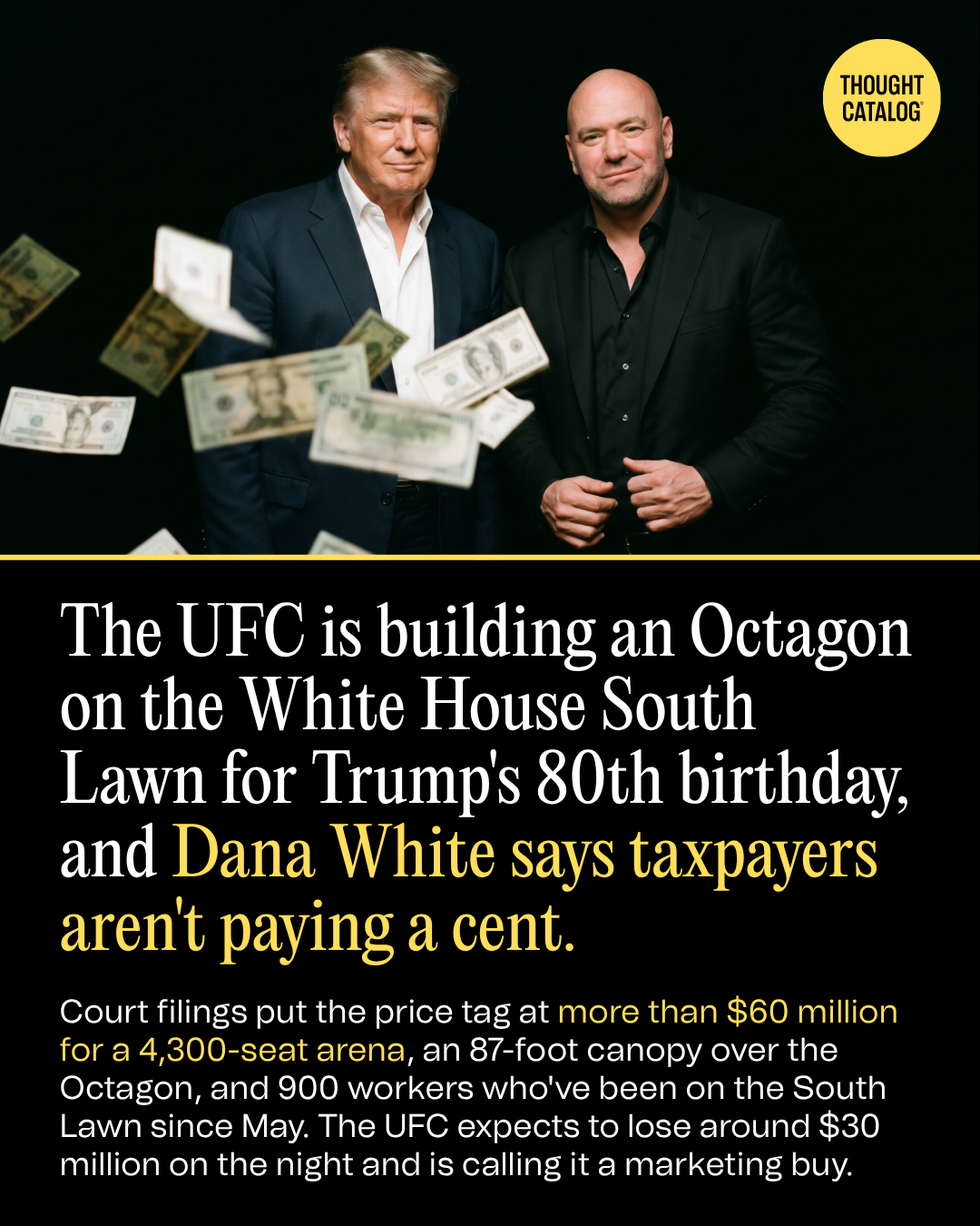 Taxpayers Won't Fund UFC Freedom 250's $60 Million White House Production, Dana White Says. TKO Expects to Lose $30 Million