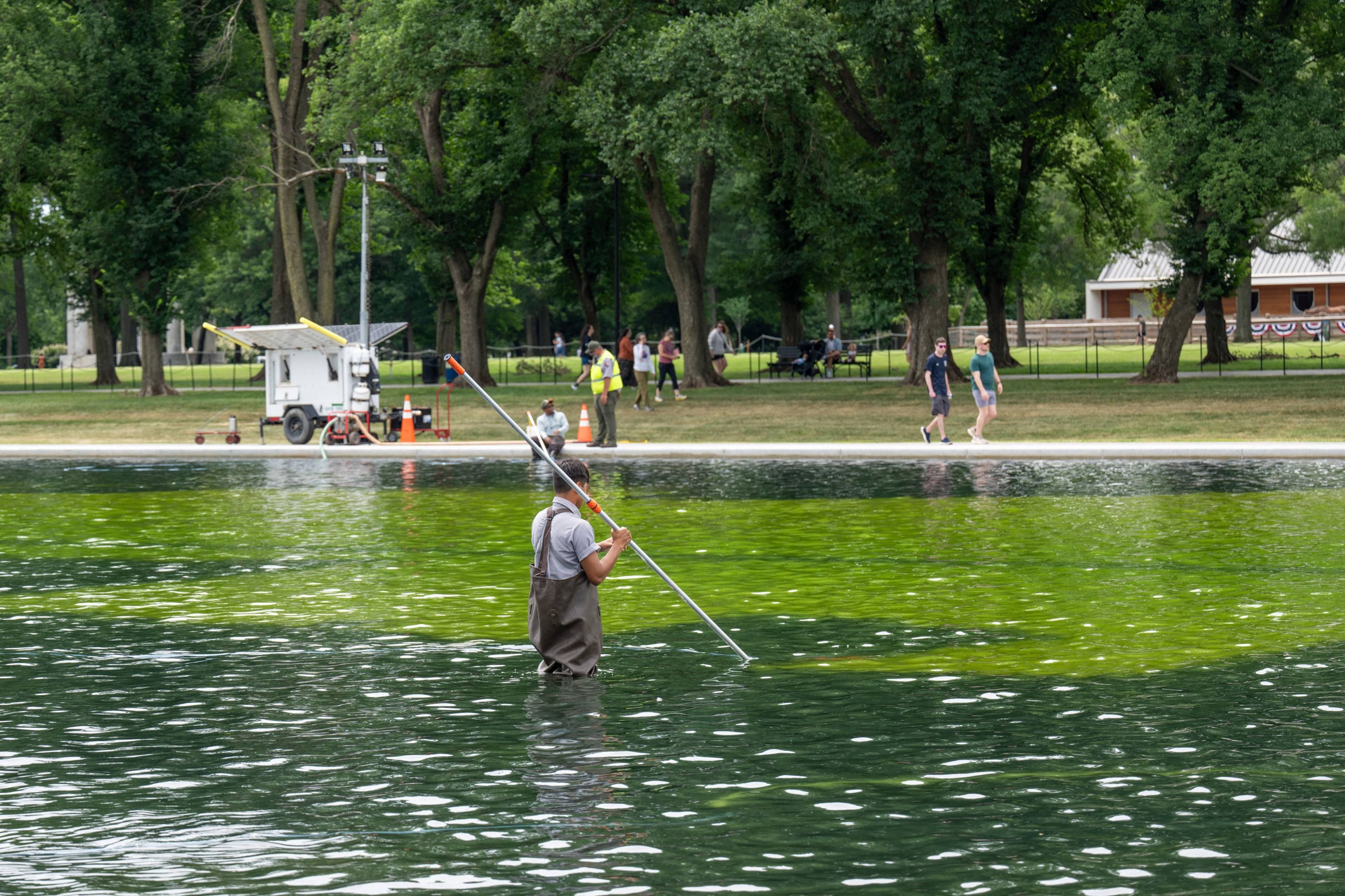 Worker in waders standing waist-deep in a green algae-filled reflecting pool, holding a long pole, with park visitors and equipment visible on the shore behind them.