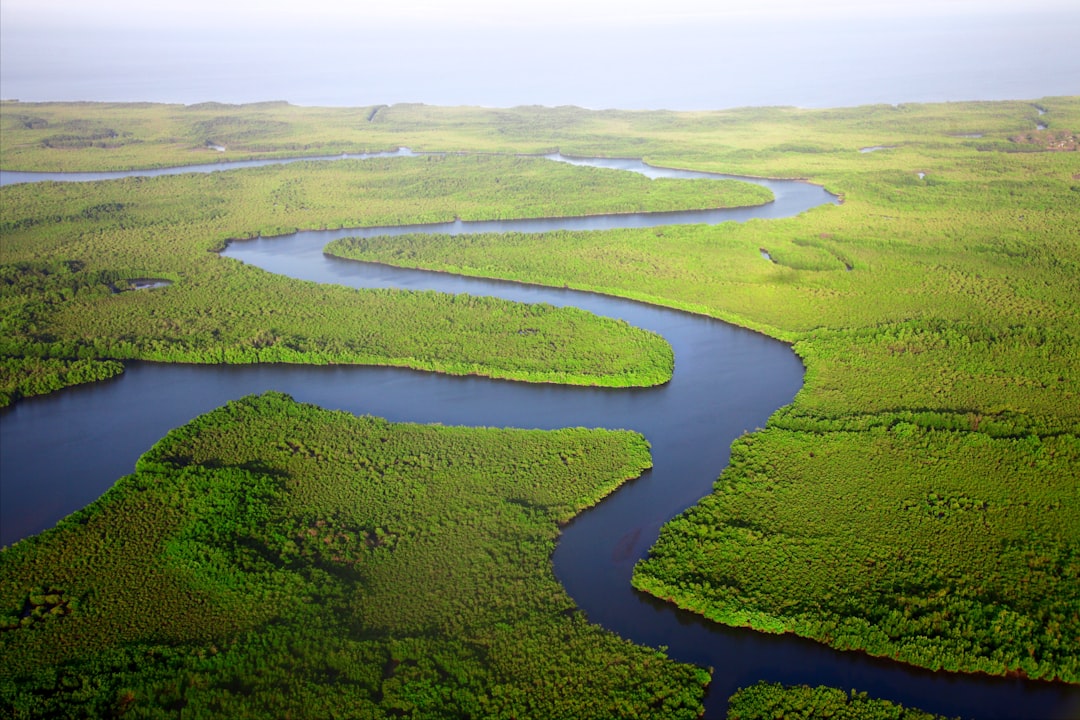 Aerial view of a winding river snaking through dense green tropical forest