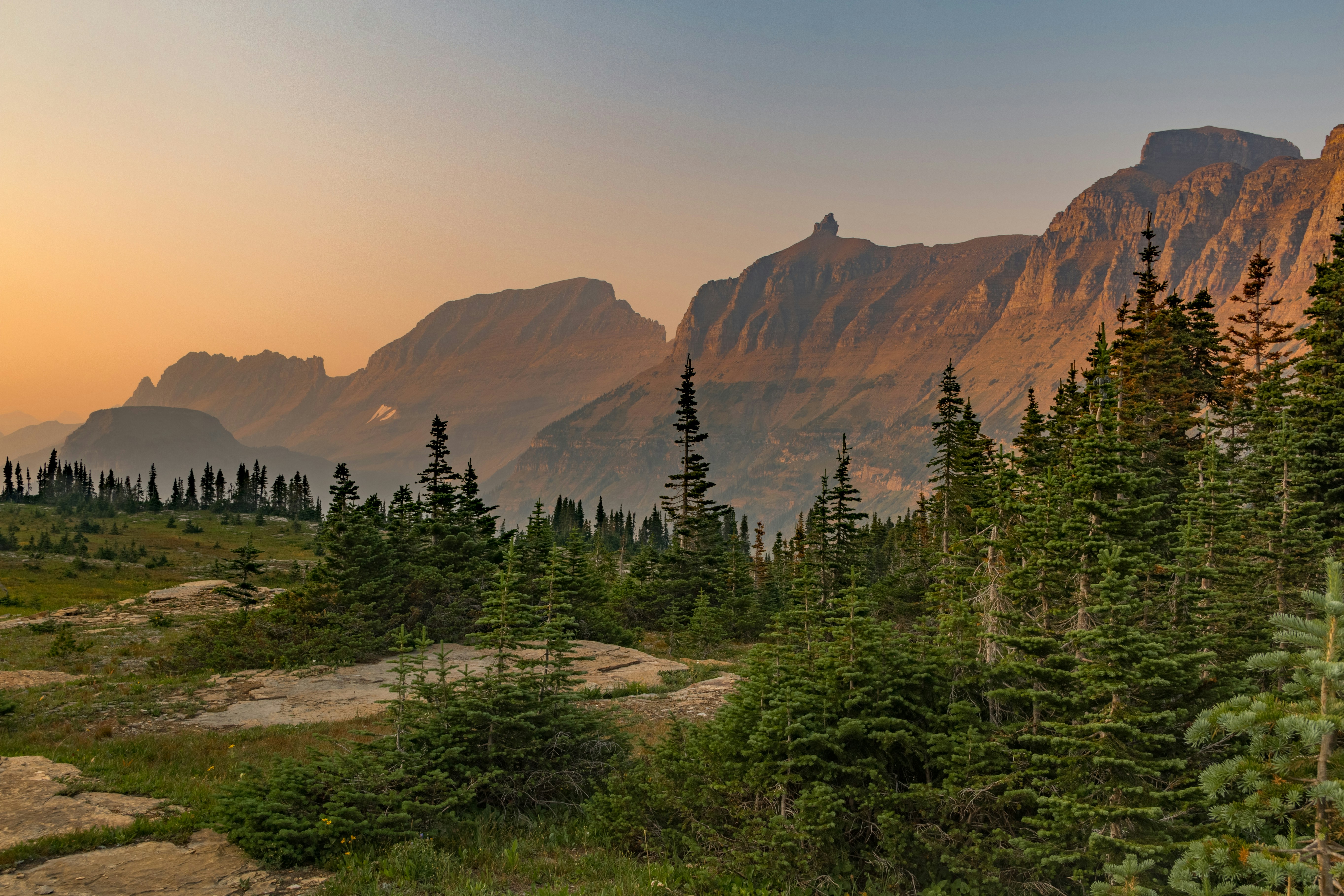 Wide mountain landscape at sunset with green pine trees in the foreground and rocky peaks bathed in orange light in the background.