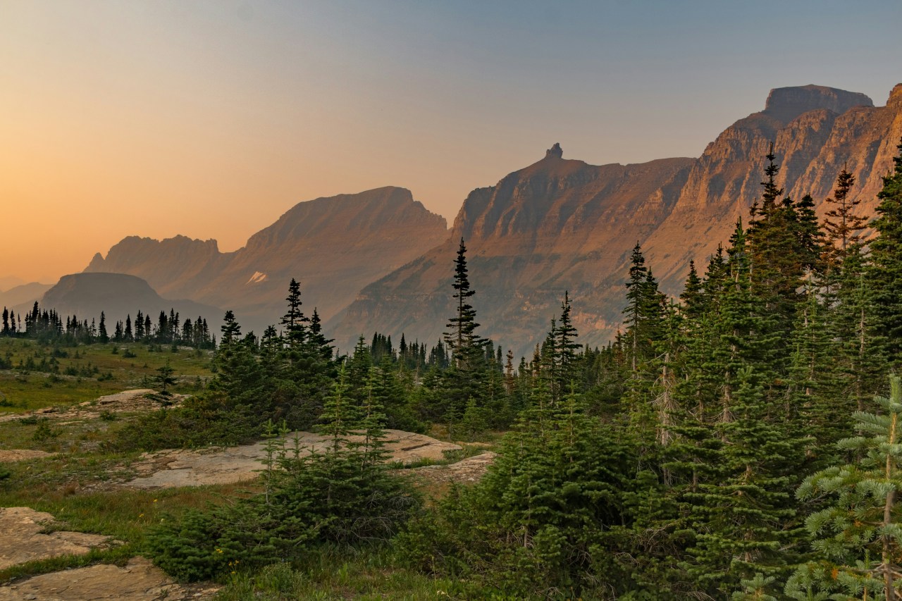 Wide mountain landscape at sunset with green pine trees in the foreground and rocky peaks bathed in orange light in the background.