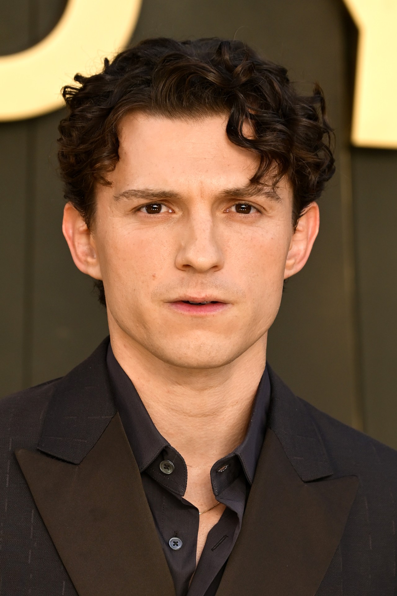 Anne Hathaway Compared Tom Holland to the Very First Movie Stars