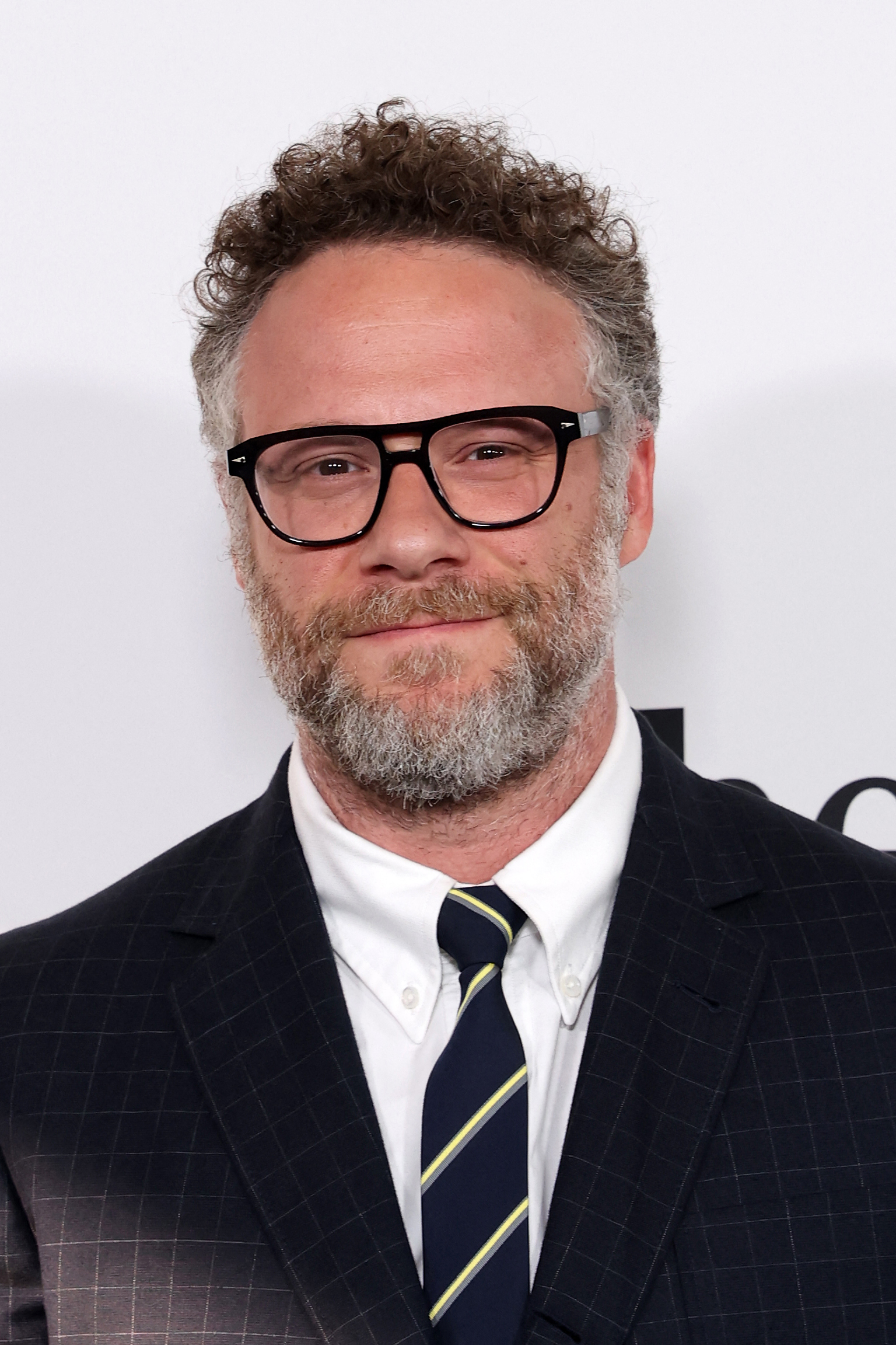 Click to open the image gallery Seth Rogen wearing black-framed glasses, a dark plaid blazer, white shirt, and navy striped tie at a film premiere.