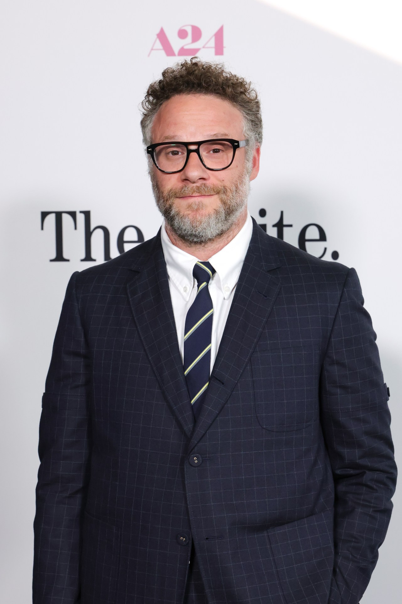 Man with curly hair, beard, and black-rimmed glasses wearing a navy plaid suit and striped tie at an A24 event backdrop.