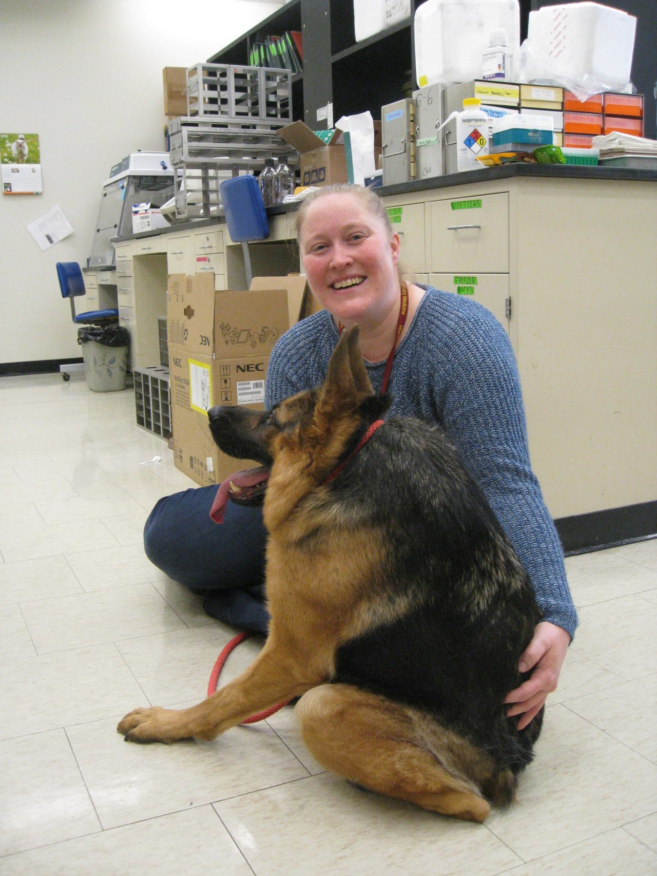 A smiling woman in a blue sweater sits cross-legged on a lab floor, hugging a German shepherd with short spine syndrome on a red leash.