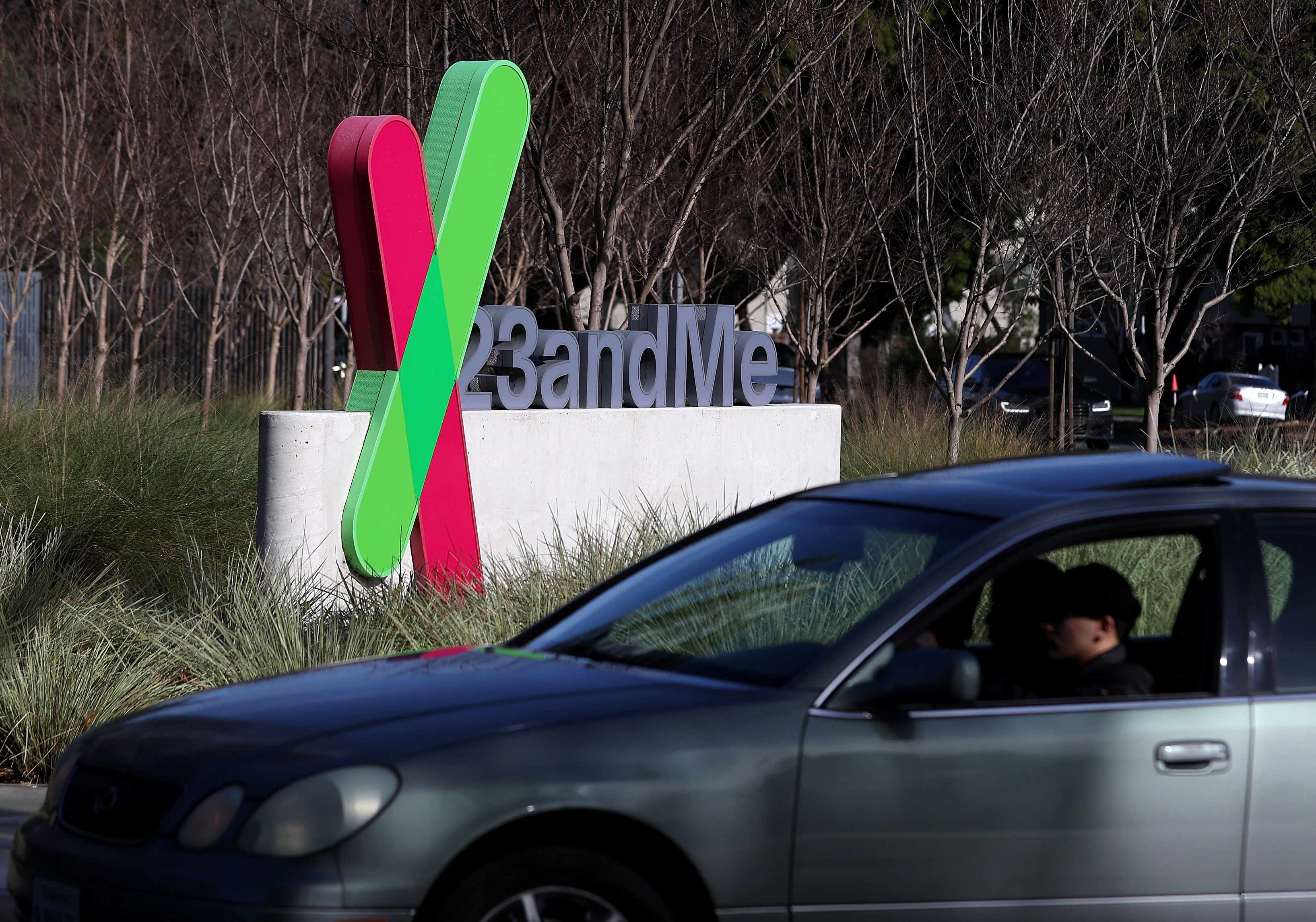 A silver car drives past the 23andMe outdoor sign with its pink and green logo, surrounded by ornamental grasses and bare trees.
