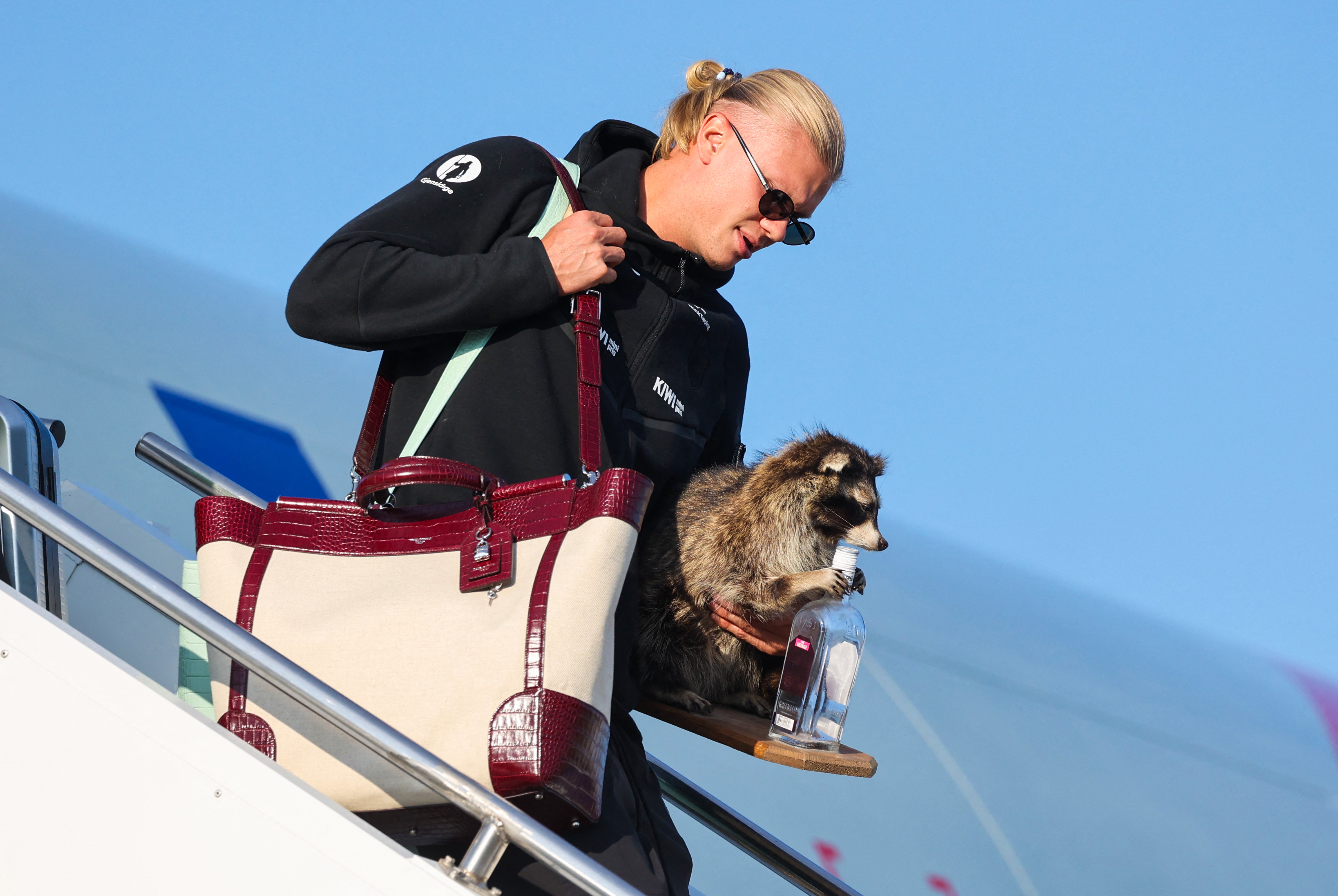 Erling Haaland holding a taxidermy raccoon as he deplanes at Oslo's Gardermoen Airport