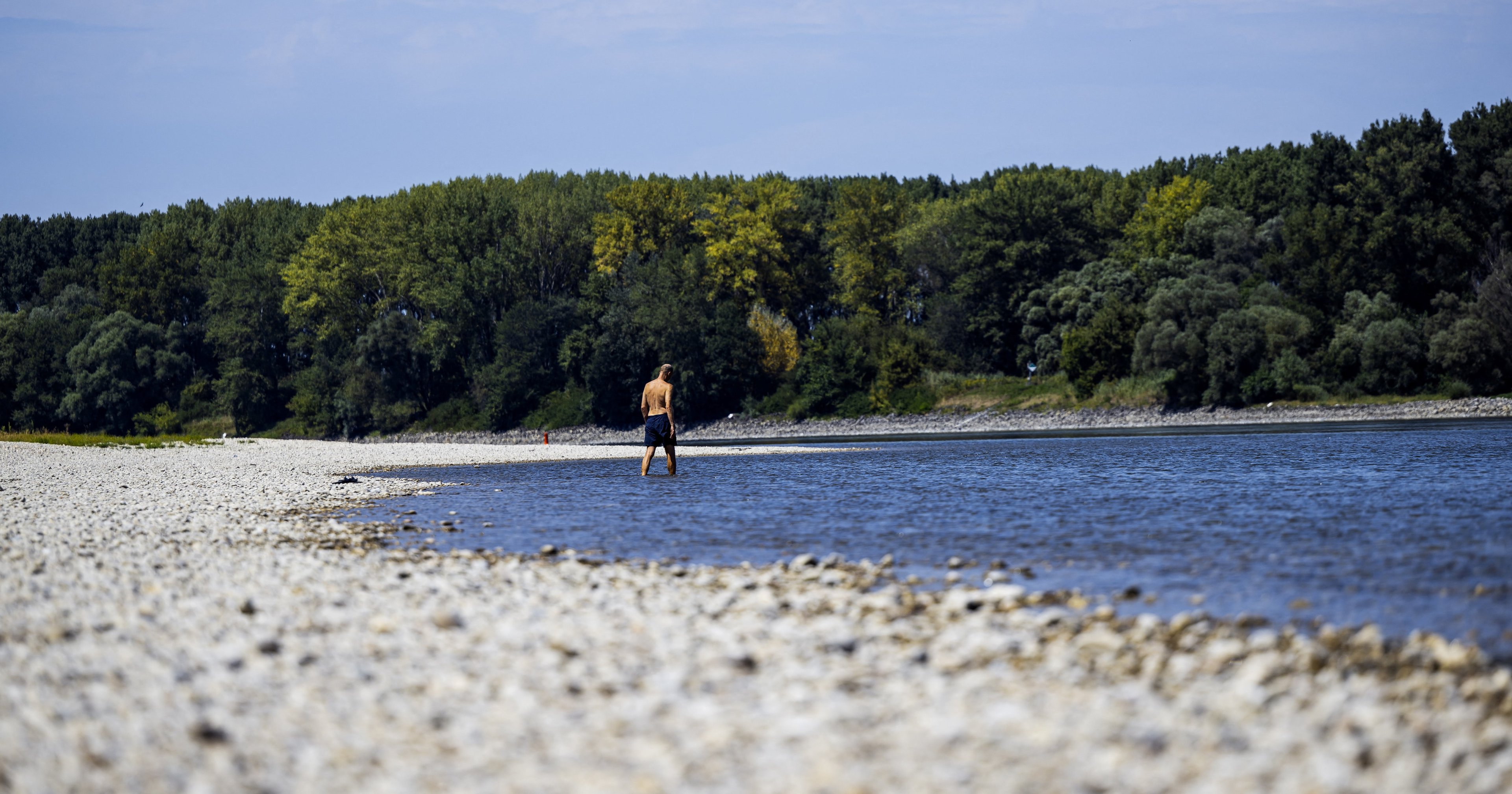 Shirtless man in swim trunks standing at the water's edge on a wide, rocky exposed sandbar along a shallow river, with dense green trees in the background.