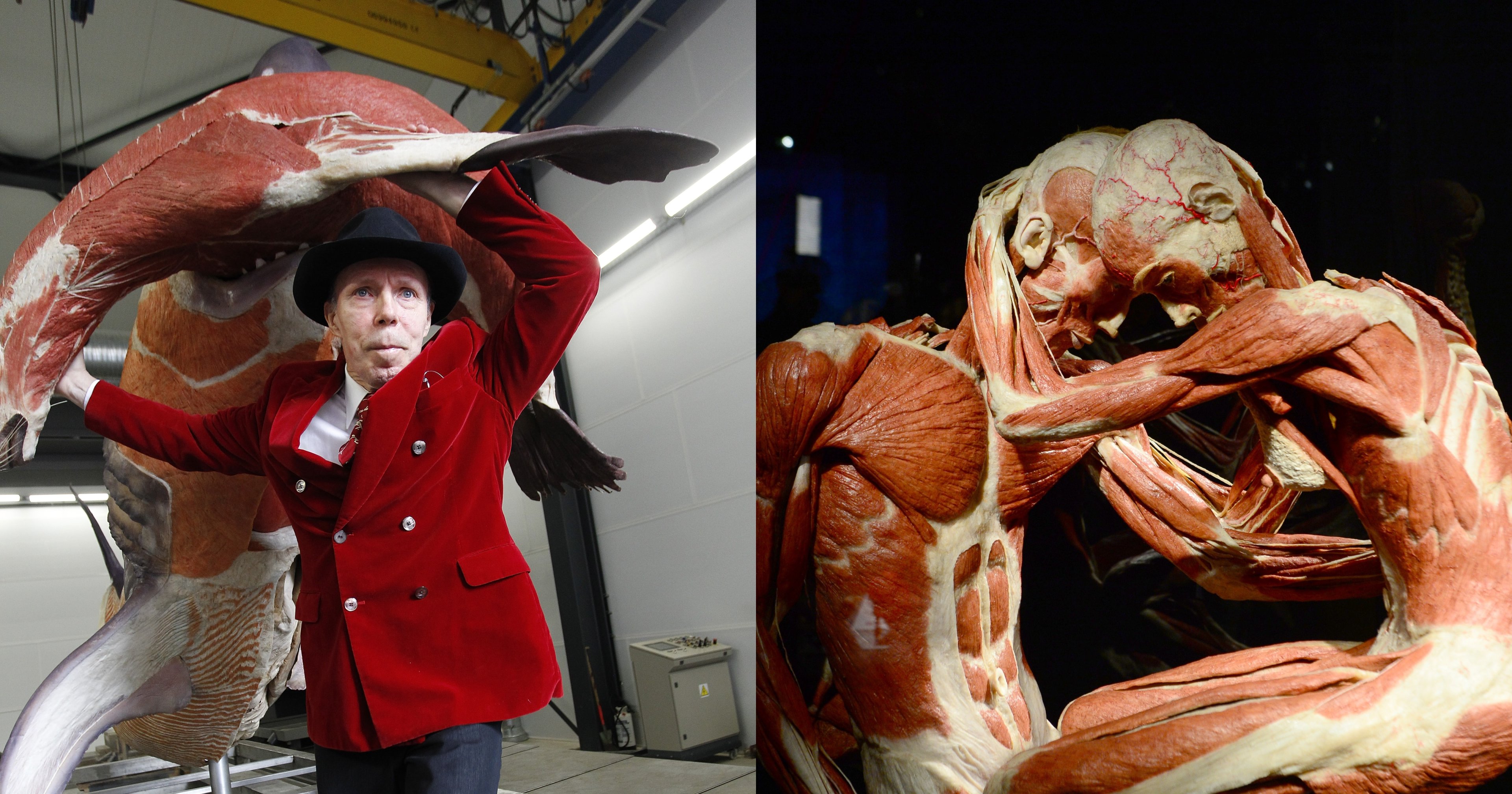 Man in a red velvet blazer and black fedora stands with arms raised in front of a massive plastinated animal specimen in an industrial warehouse.