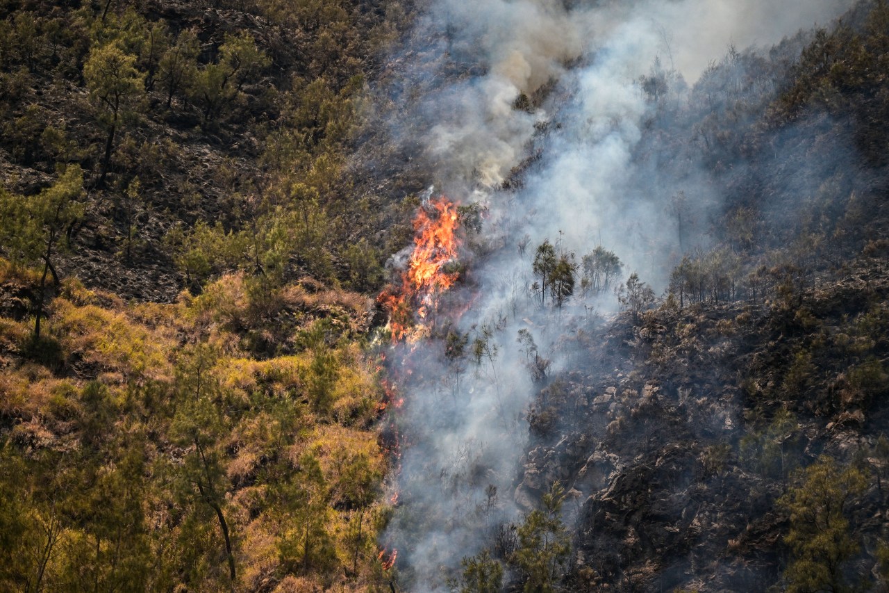 Wildfire burning through the caldera of Bromo Tengger Semeru National Park near Mount Bromo in East Java, Indonesia