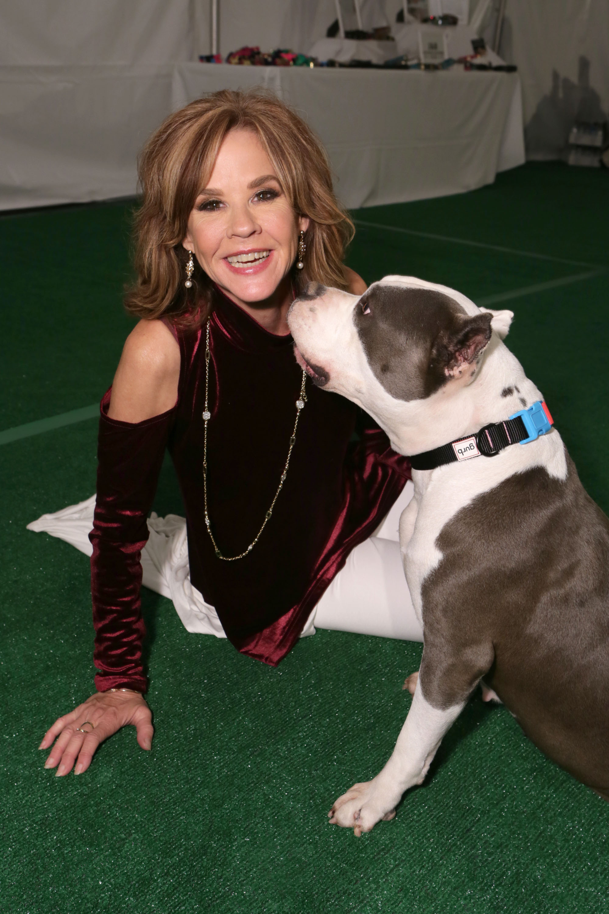 Woman in a burgundy velvet cold-shoulder dress kneeling on green turf next to a gray and white Boston Terrier mix wearing a black collar.