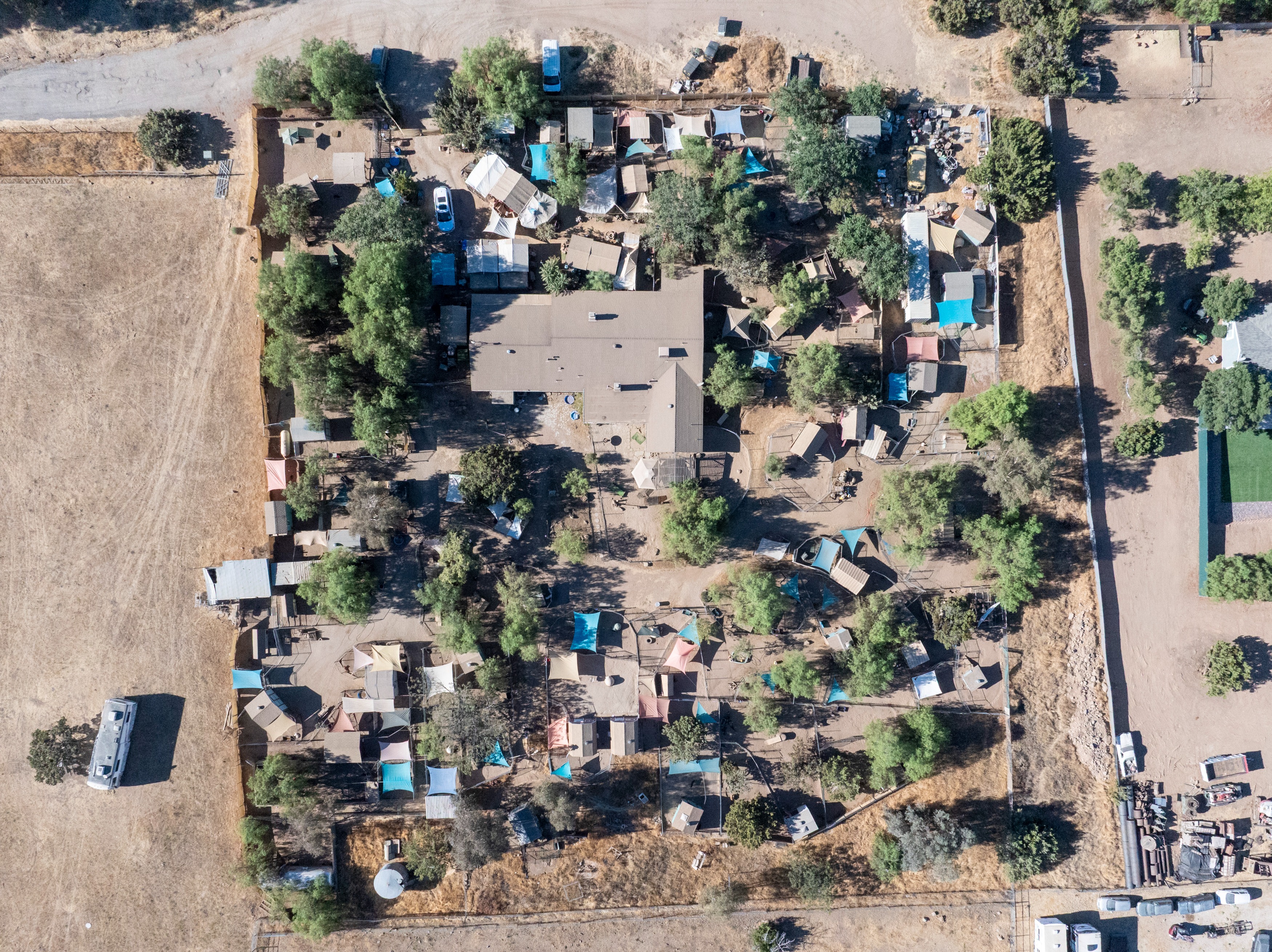 Aerial drone shot of a small California property densely covered with kennels, shade canopies, and enclosures amid scattered trees.