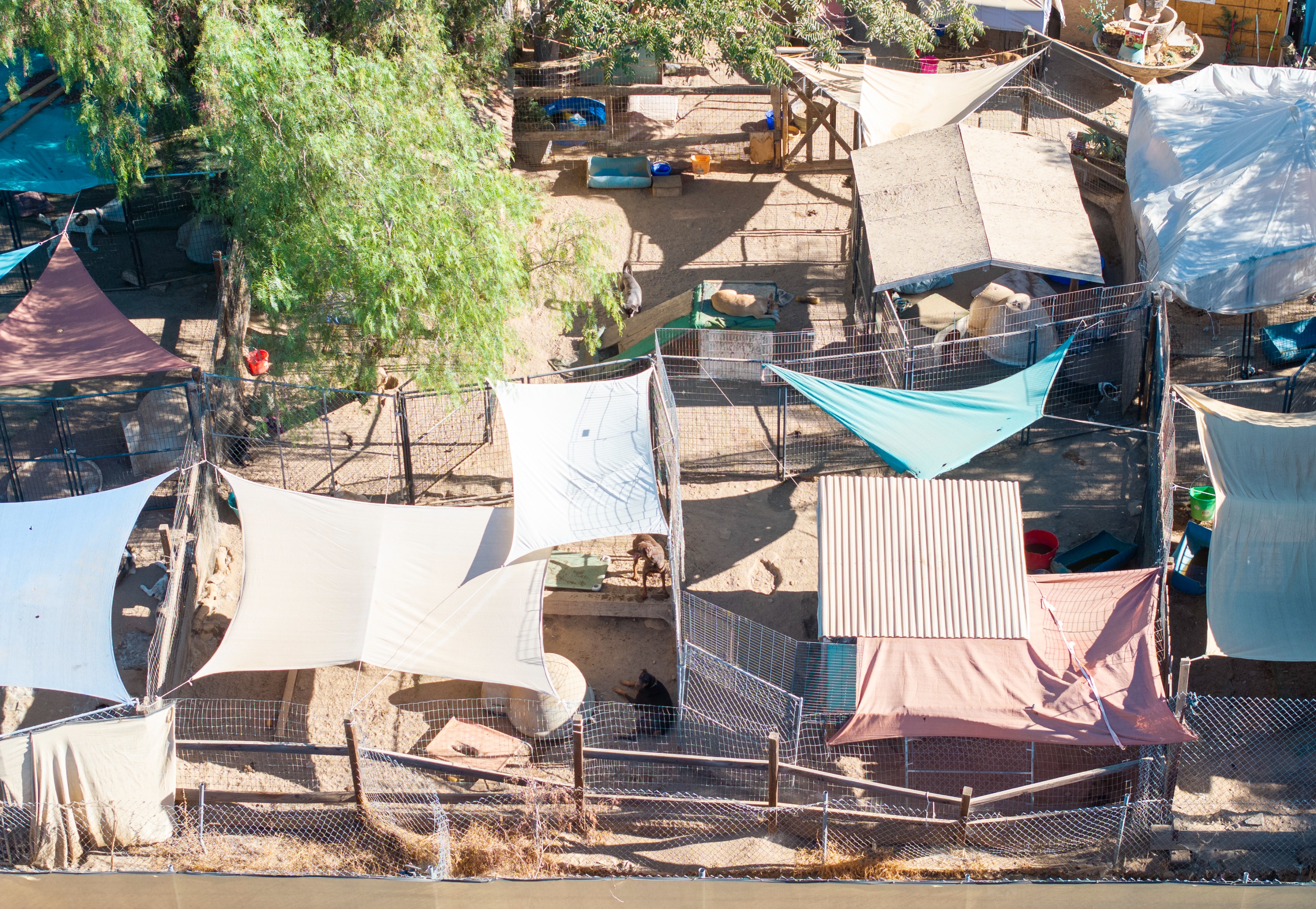 Elevated view of multiple wire-fenced dog enclosures covered with shade tarps and metal sheeting, with dogs visible inside some pens.