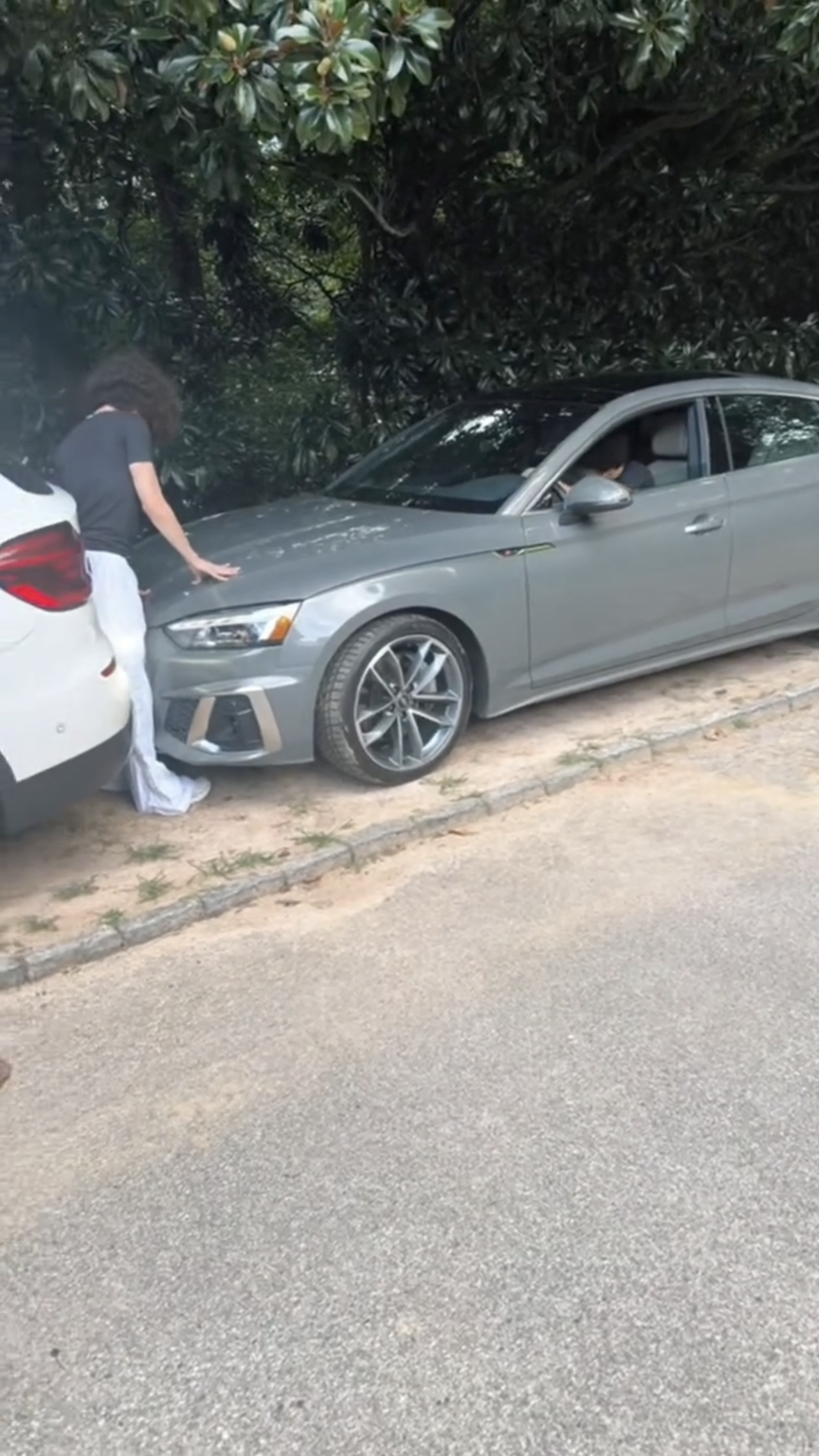 Person standing between a gray Audi sedan and a white car, placing hands on the Audi's hood in a tree-lined parking area.