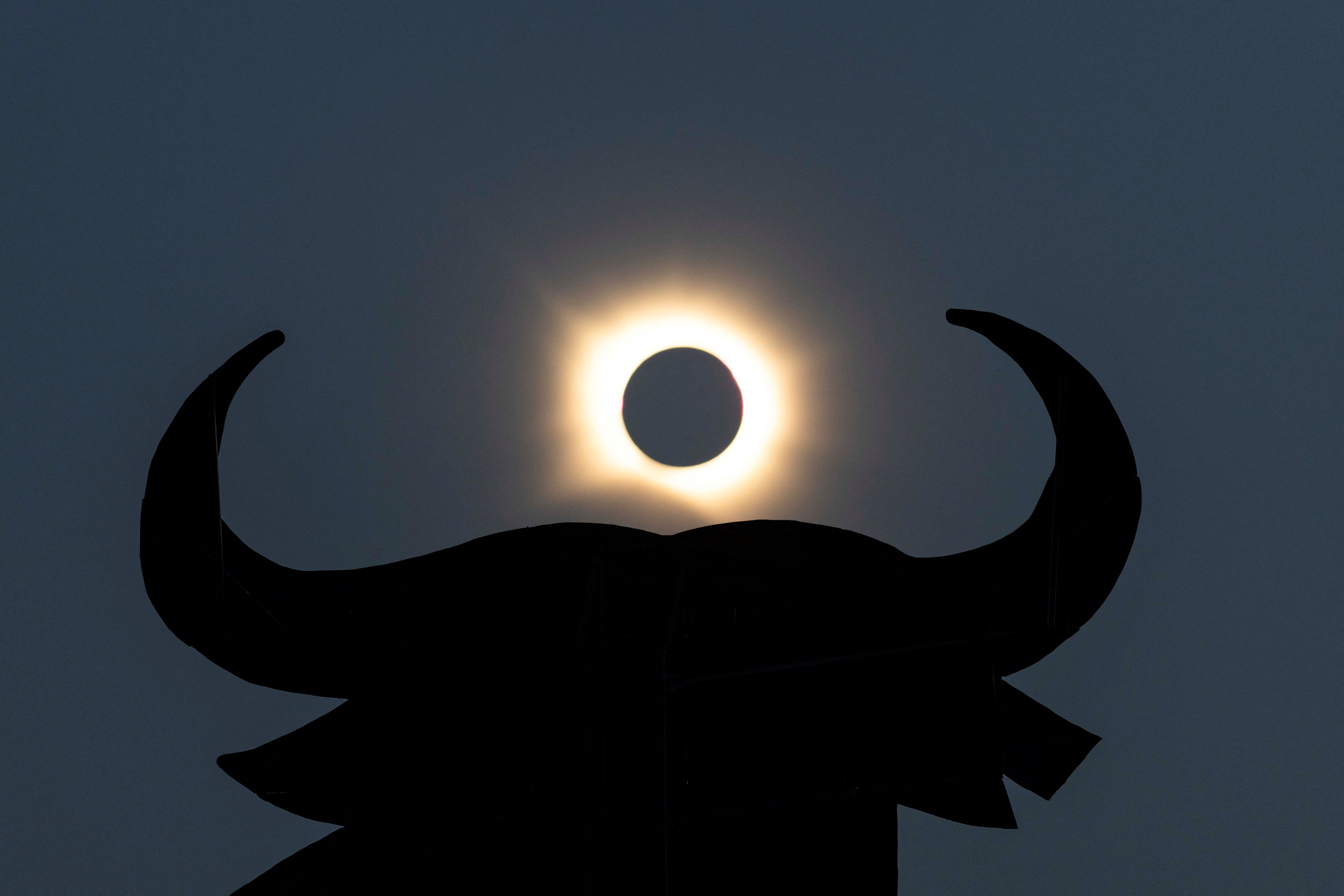 Silhouette of an Osborne Bull with the glowing ring of a total solar eclipse centered between its horns against a gray sky.