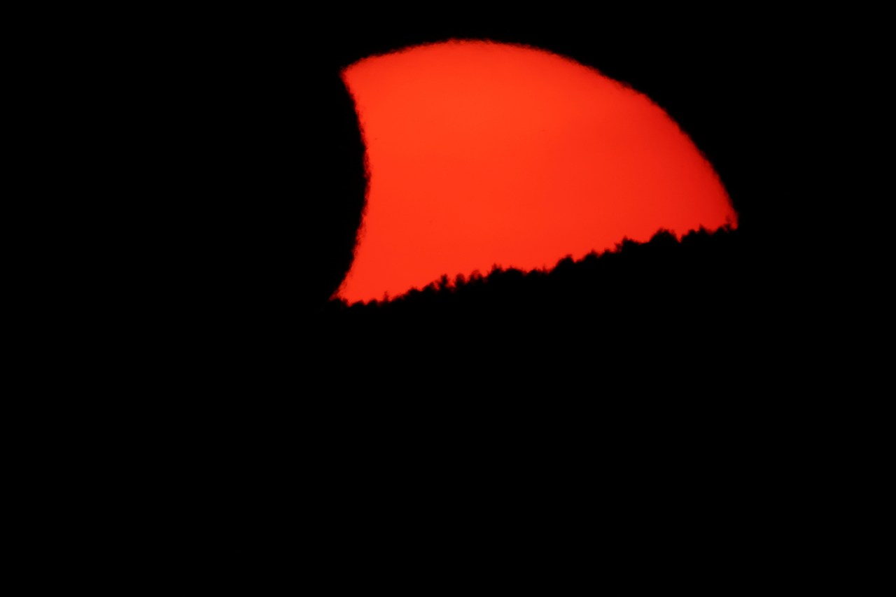 A vivid red crescent sun partially covered by the moon, setting behind a silhouetted treeline against a black sky.